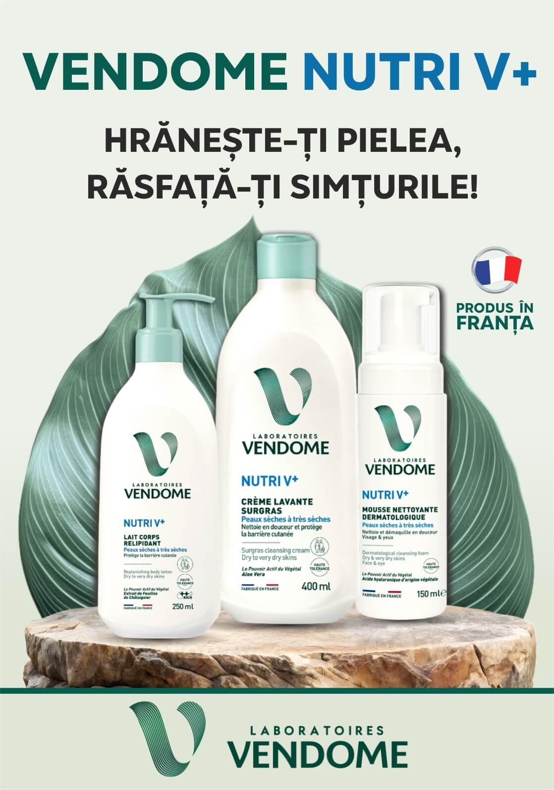 Farmacie.md – Farmacie online cu livrare rapidă | Medicamente & produse farmaceutice 🔥 Reduceri zilnice